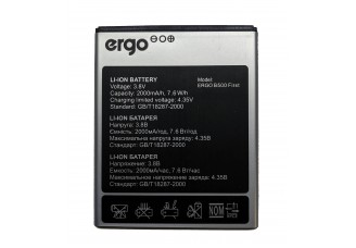 Аккумулятор Ergo B500 First